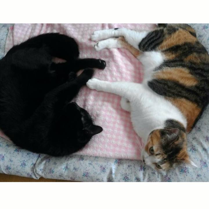 68bf7772 37da 4328 944a 5853d28bfeaf 1510056630751