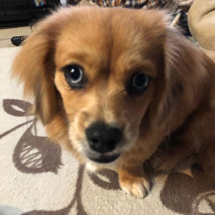 68bfce09 14dc 4da8 9702 e3f005595f9d 1510785634535