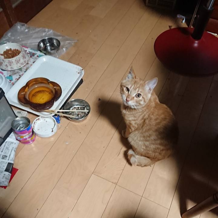 68bfd726 59f9 4242 ba02 d9e552f6f093 1636056176979