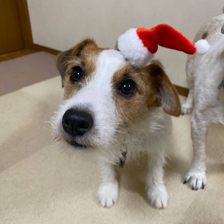 68bfde79 cb30 4a75 af05 e981f3127edd 1671969342142