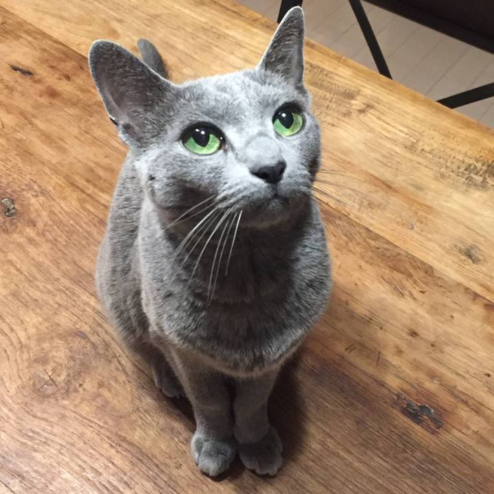 68bfea5b 09d2 4ed1 a55e 19abec15be8b 1514628649040