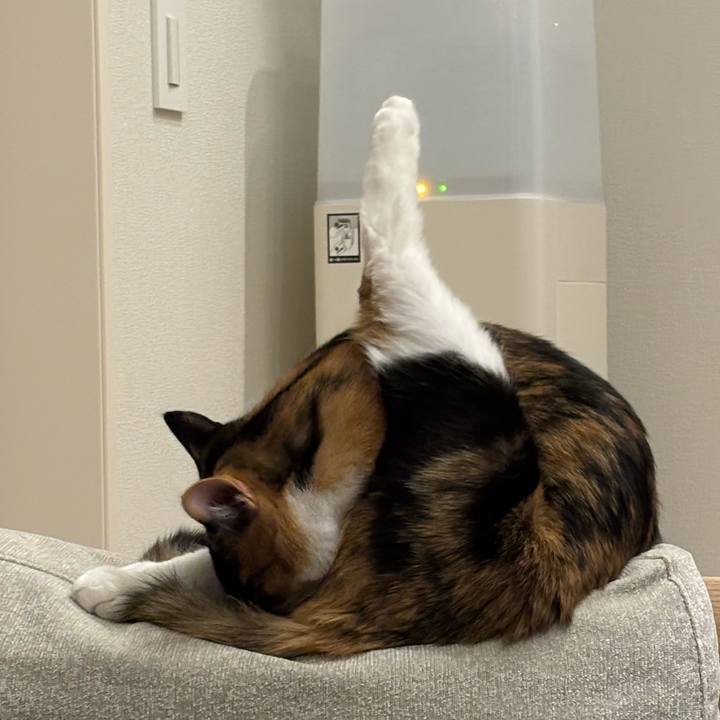 68c02769 5a27 4e82 ae80 cc5445703409 1773896929305