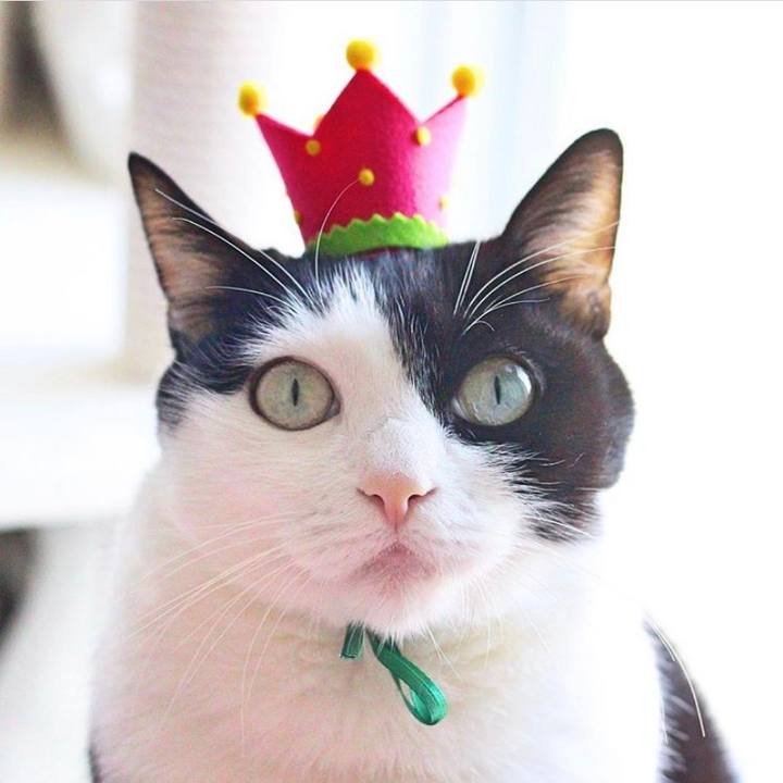 68c08bf4 0ddb 4124 bd2d 9b053f813151 1559773315513