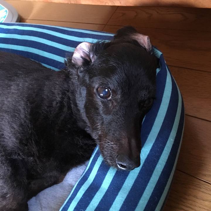 68c093ab 64aa 4b84 b237 d05b5b701aea 1533164048242