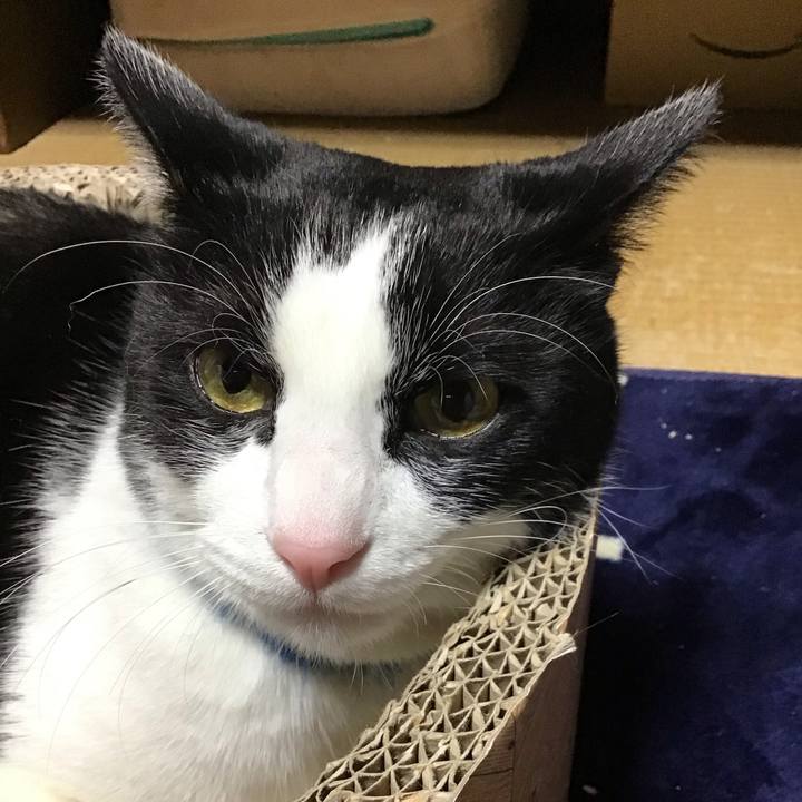 68c0b7ce 20ee 408e 9c4a 94cf91bb8ce3 1704880211986