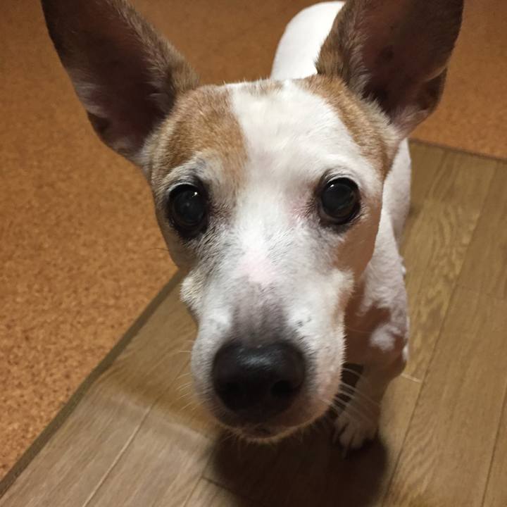 68c0e284 b198 414b ac2c bc0721c9b044 1541844137412