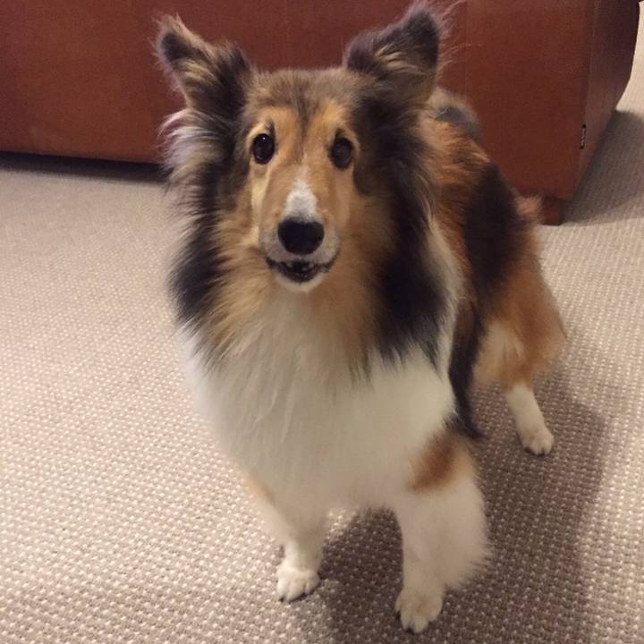 68c0e997 8ce7 4ff8 9115 60b1c960ddf0 1521978370005