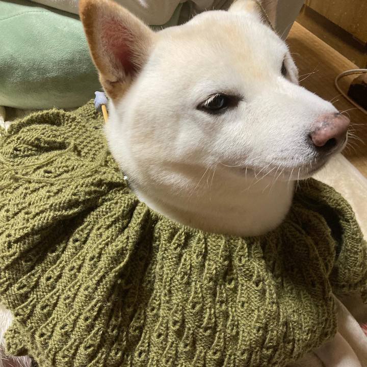 68c10cb2 9e1a 4af4 aa8a dd046a2a1c93 1665401690934