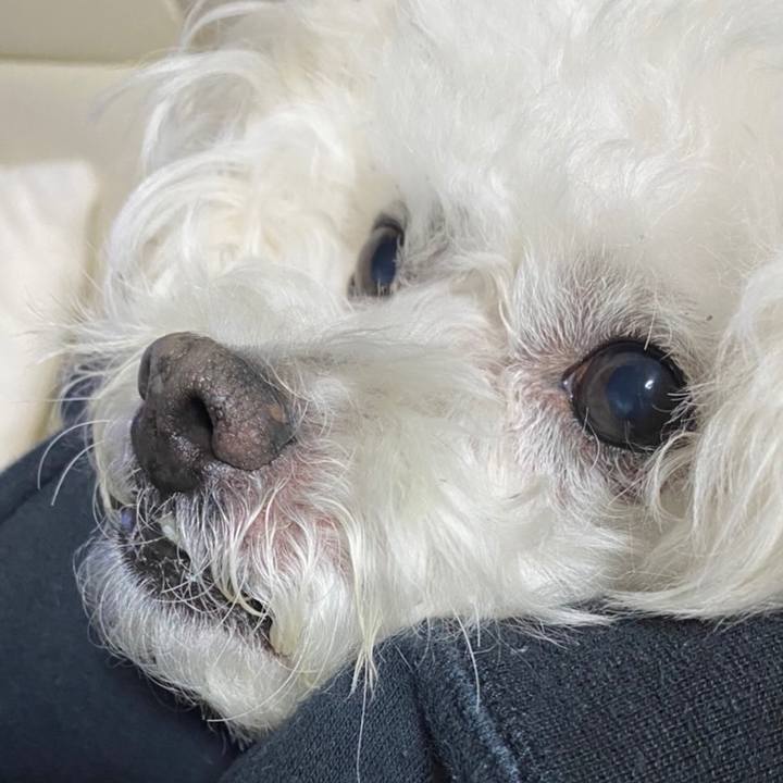 68c11fa7 93d1 4e4c a70f 14a6e1442458 1644833805708