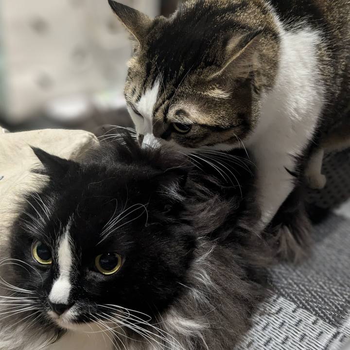 68c12688 136b 42b0 bbe1 7e55cef46c4f 1734929301256