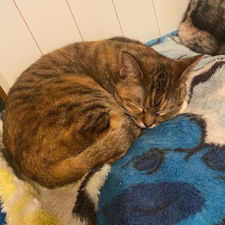 68c12e57 5eb3 496e bdc9 086700b5995b 1578933186072