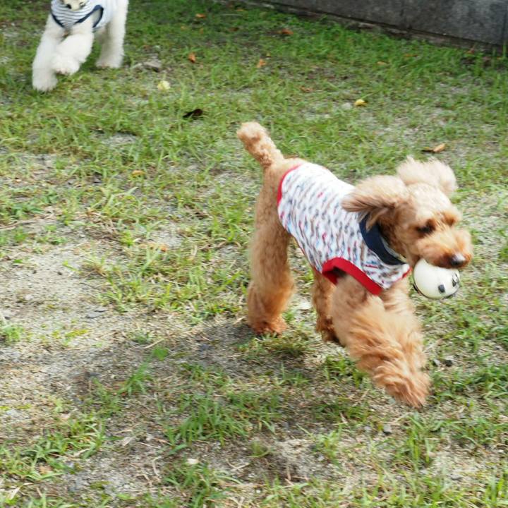 68c18139 04e5 4ef0 9e7b b440a84de7f7 1508377392731