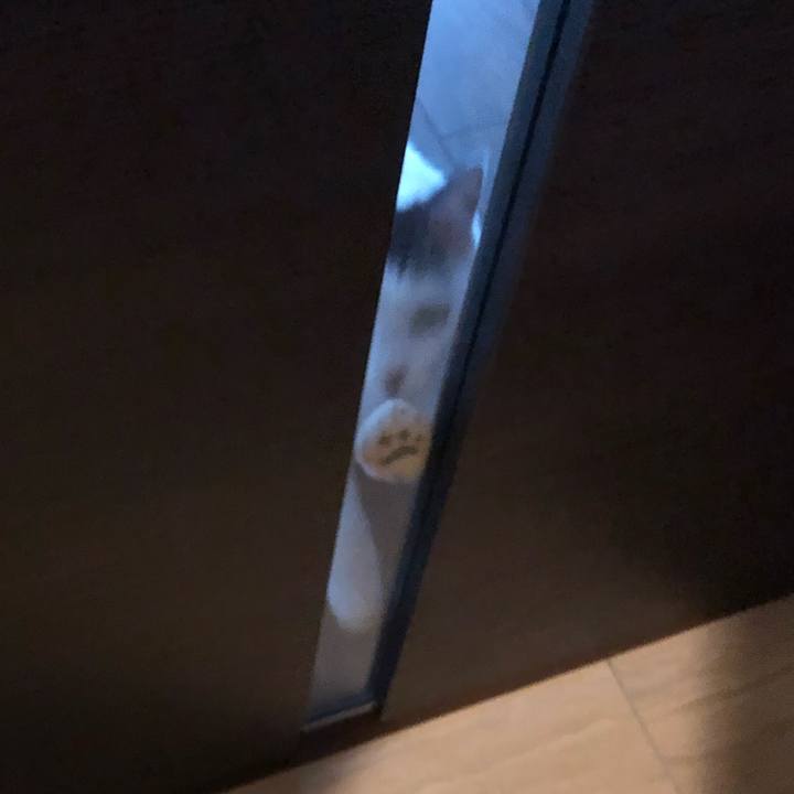 68c18c02 41f1 4436 8a07 9edce7e2edf5 1551050949040