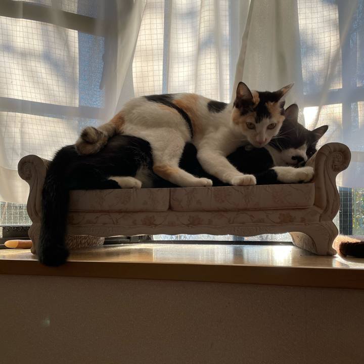 68c195fe c875 4605 b40b 0e37478e237b 1673134427718