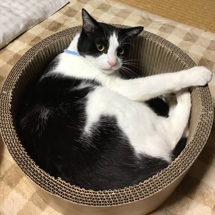 68c1db19 6f8f 496b be16 d3743f888f12 1698062198741