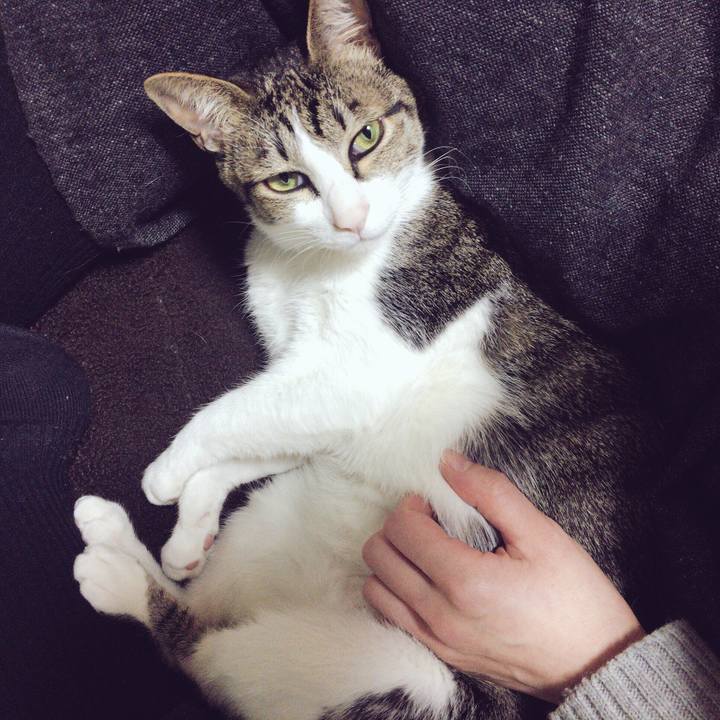 68c214da f21e 445f a057 8a21ac5d1a21 1513166700352