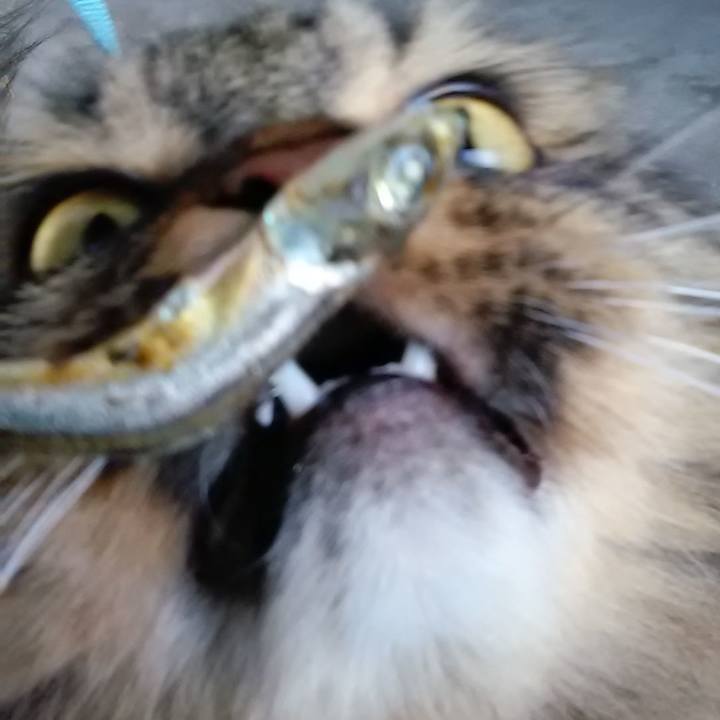 68c25c73 509f 477d 958c 6240b21aacf8 1608868736602