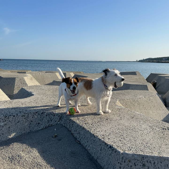 68c28f44 fb18 4e08 8b6a 79ae993c47c7 1633300778731