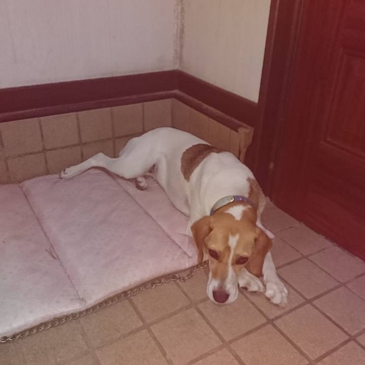 68c2c1b1 c54e 49fa b1b7 d83c269fa934 1560513849478