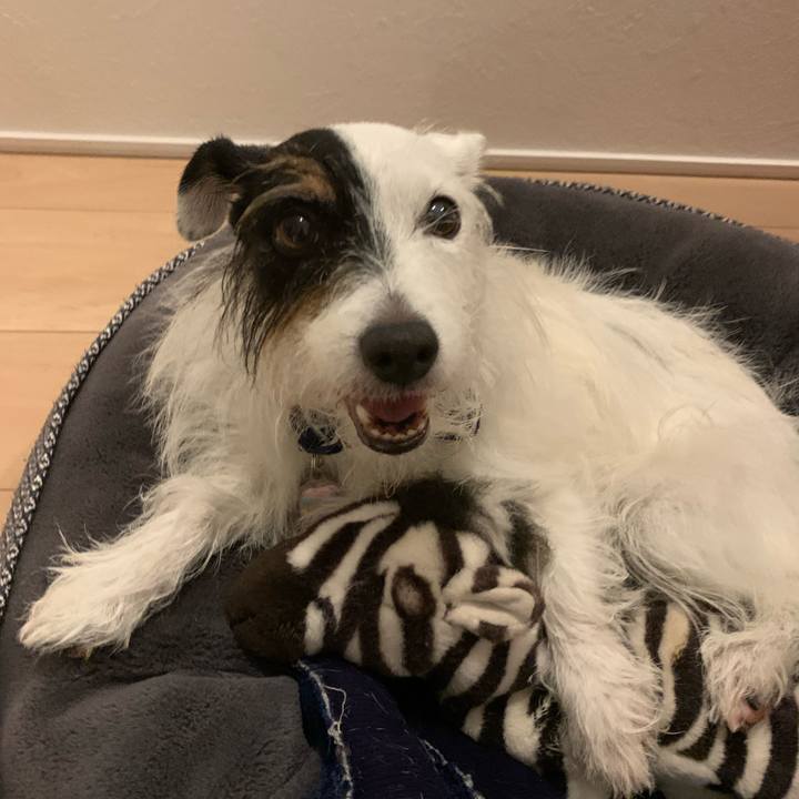 68c2ca25 1652 4587 b360 108bbd945bee 1663506866471