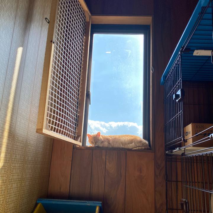 68c2e81c 882d 48db 817a 4c48c4911e35 1732177965718