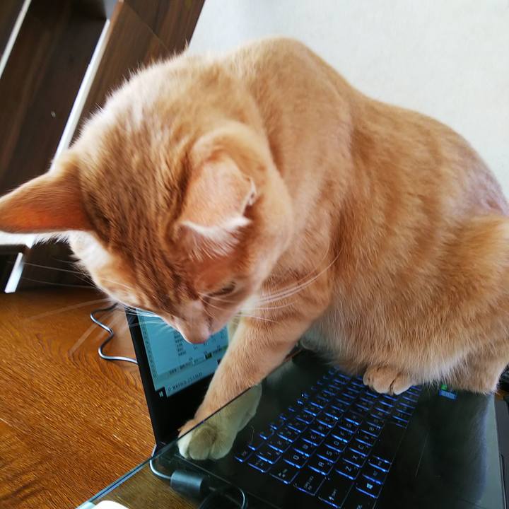 68c2fefd 4cfa 4131 9e9a 20d0ee6784c0 1600213115398