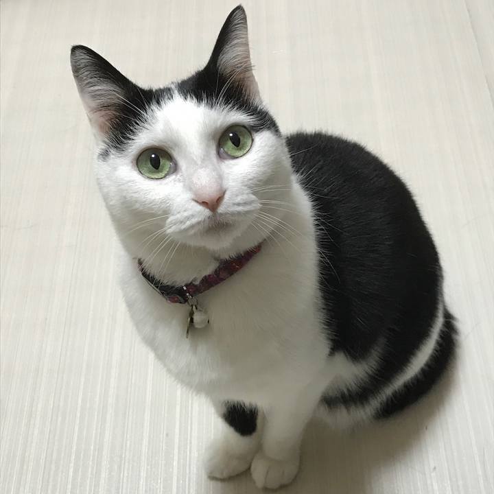 68c305a0 b164 4838 8959 5887a3162e1d 1524487087909