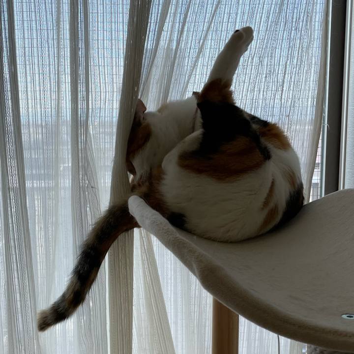 68c33e85 96d8 4907 9435 48a94bb125f0 1639806868243