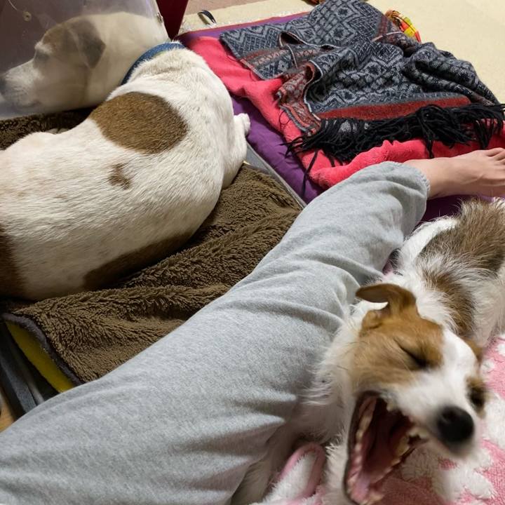 68c36269 a2fb 47fc 8cb9 4903f29f09e7 1666271081573