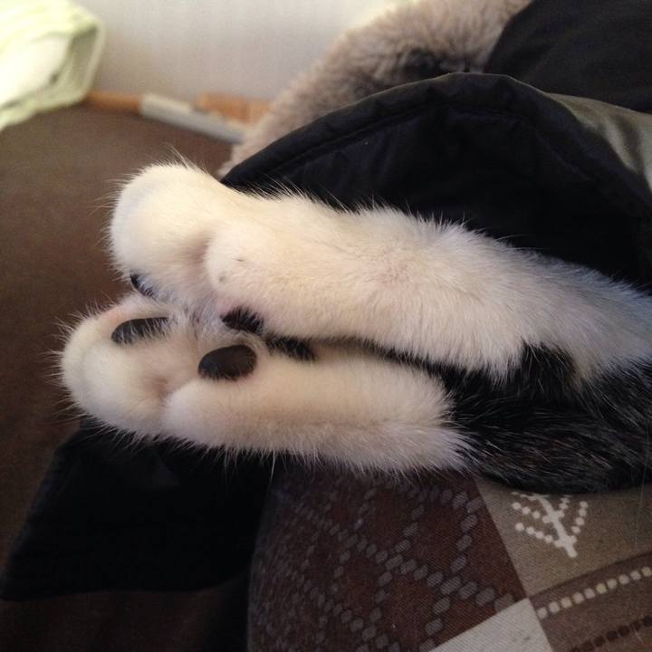 68c3633a 86ba 4db5 a20c be5a2c41affe 1513308724563