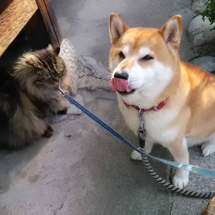 68c3a27f 07ca 4fe6 8ec5 cabf8060e21d 1652959670250