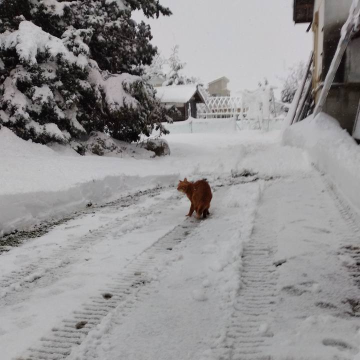 68c3b724 b175 4512 bd25 40ede7af97a8 1736376117880