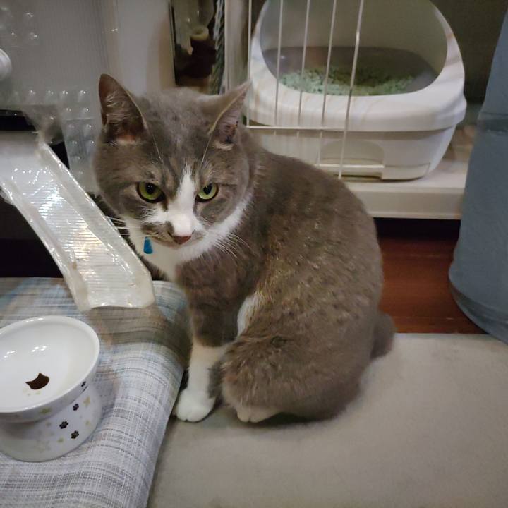 68c3d5f9 147b 401a 89f0 64788798e8e5 1718800543918