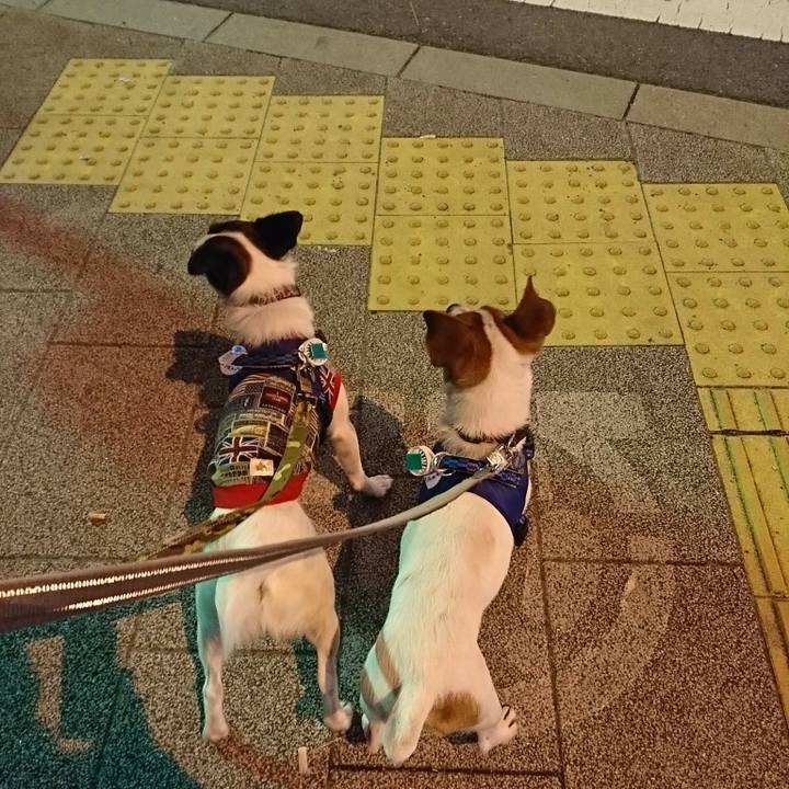 68c41467 e154 48ab 8225 5451fc752955 1529928223294