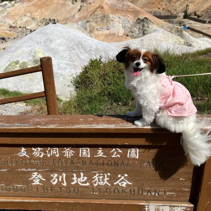 68c4176c d24a 4448 9a42 b9ae0d13518a 1755324343107