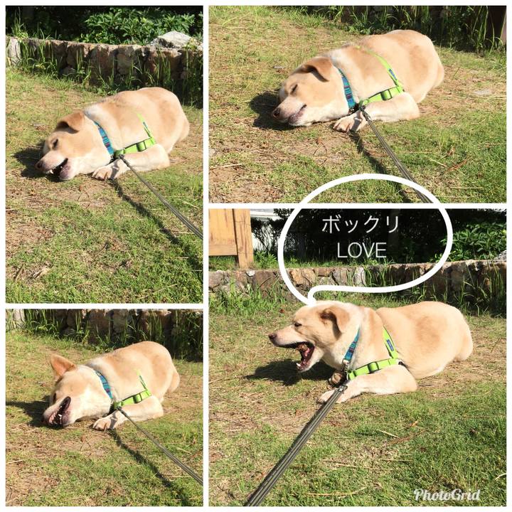 68c41fca 0c08 4e75 bb74 4743ae00e91d 1528168111157