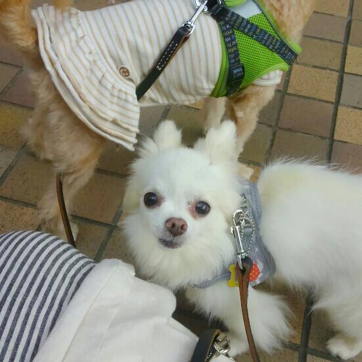 68c4cbae e3f6 4c5c 911d 6e02a03f2a92 1536411990453