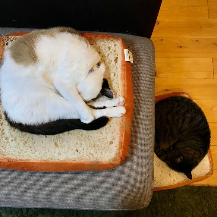 68c4f82c 5c09 45f6 a5ba 712e767c1f0f 1586698872515