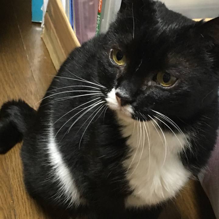 68c50b2a 87bc 4ef9 a23e 687c567ebdf9 1555158502129