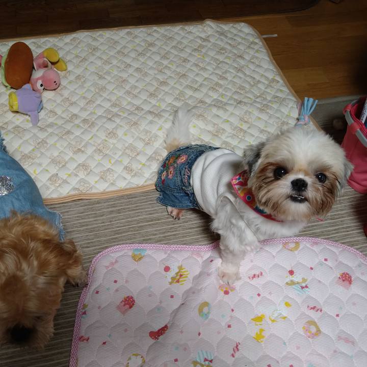 68c525a4 ea86 491f 80bb f71176c05509 1600432765852