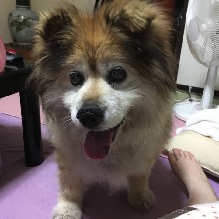 68c52bc2 9bd4 42c6 adc9 9237139f7028 1639007186140