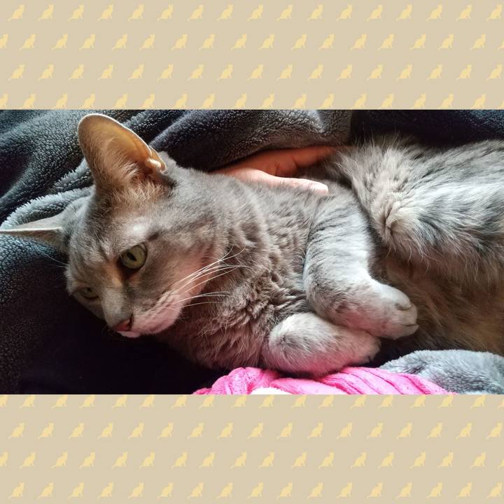 68c55713 aae1 408e 9966 3e5cef146a66 1615677028972