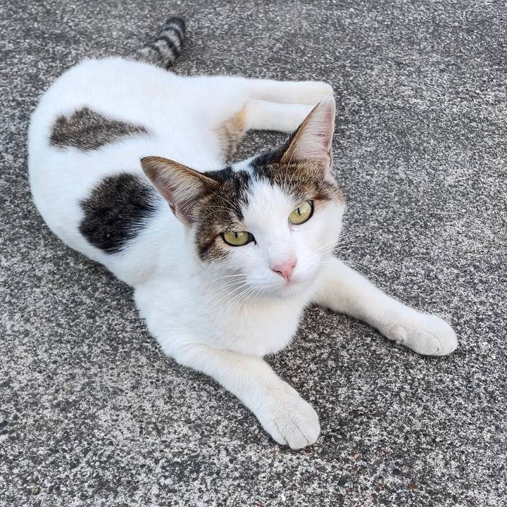 68c57e47 ece2 46a5 b45e 936ab9c84285 1692989006392