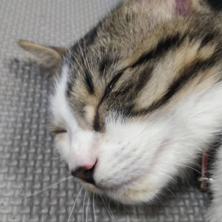 68c585dc 41da 4f89 8e03 c4edb8d826b3 1614942123203