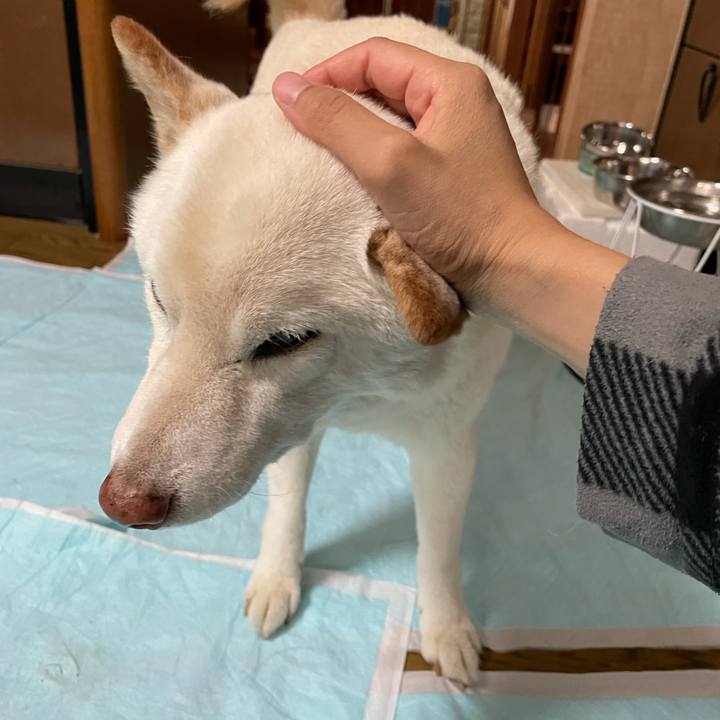 68c58994 1f58 4a9a b543 ef2b0cd1c337 1634785893107