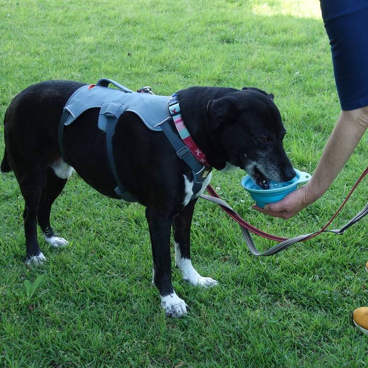 68c5db53 fd4b 4986 b0aa 27101426d99f 1749262551902