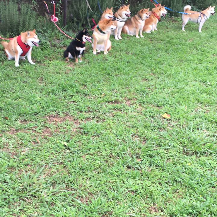 68c601cd 4a63 40e5 a3b5 bc870a436e04 1625965946515