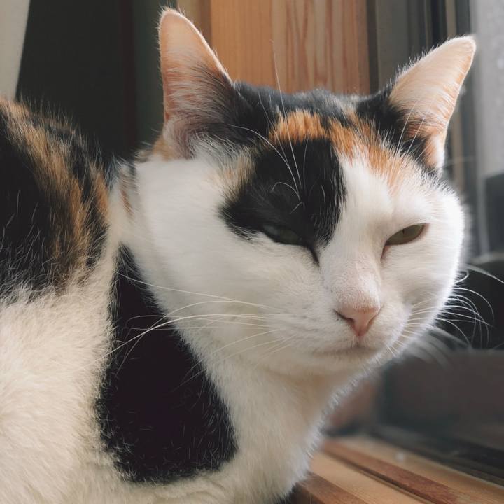 68c660df 079e 46e4 9248 ee10332f0a0b 1554515671674