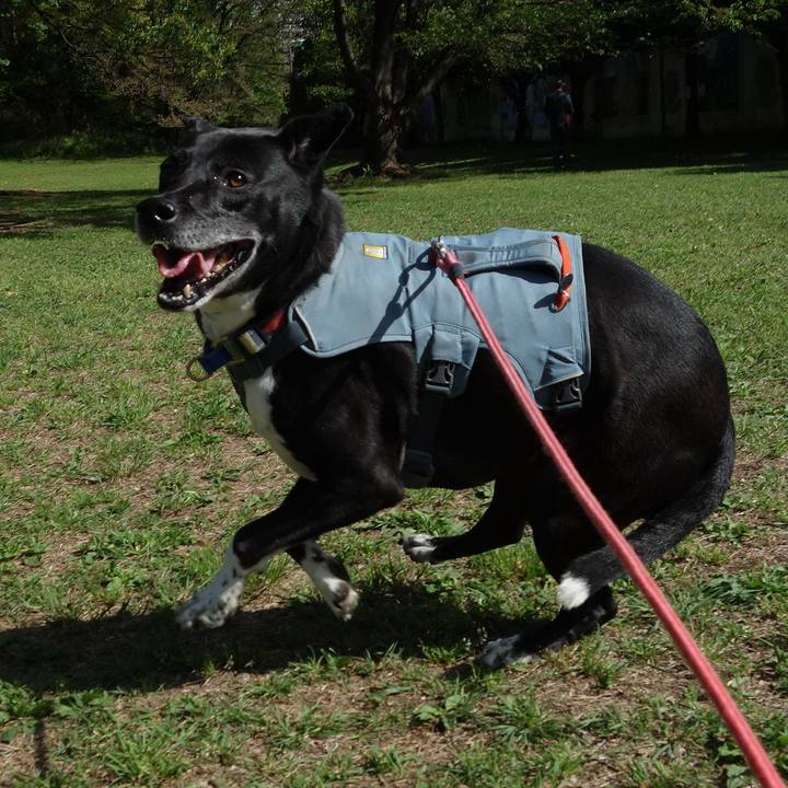 68c666a2 937e 4c14 b425 34880efb8800 1713490549406