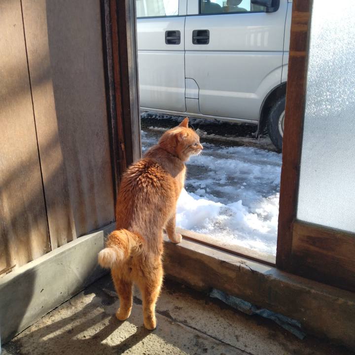 68c6aa3d eca2 40b4 a76f a6e0a5e3b718 1737257766154